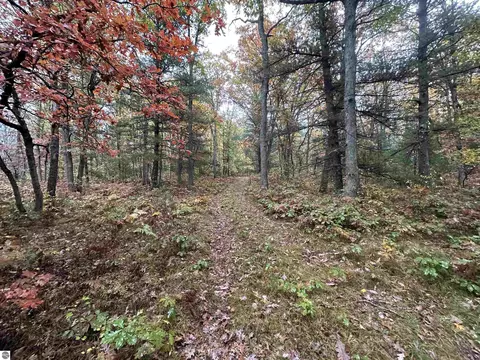00 W 48 12 Rd, Wellston, MI 49689