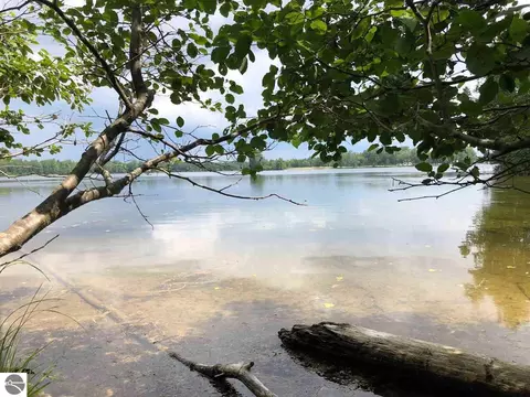 Parcel C S Rolland Road, Lake Isabella, MI 48893