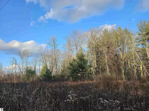 V/l Whittemore Road, National City, MI 48748