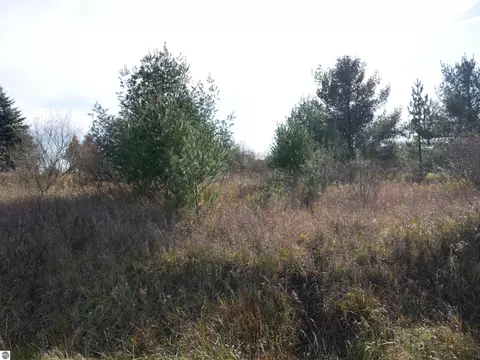 00 Track Iron Trl, Gladwin, MI 48624