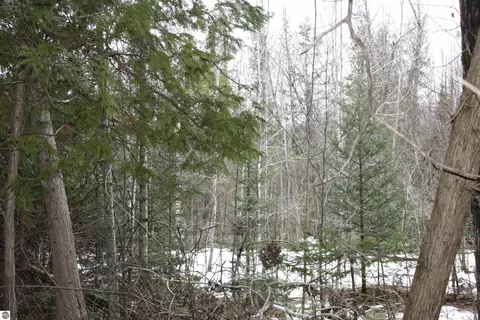 0 State Rd, Kalkaska, MI 49646