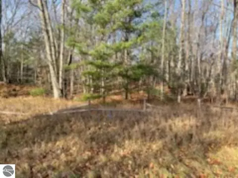 N/a Huron Road, Au Gres, MI 48703 photo 5