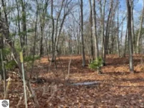 N/a Huron Road, Au Gres, MI 48703 photo 2