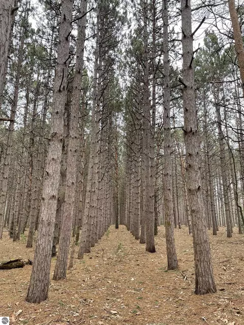 V/l Cherry Road, Manistee, MI 49660