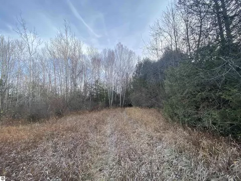 Robarge Street, Elberta, MI 49628 photo 10
