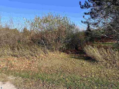 Robarge Street, Elberta, MI 49628 photo 9