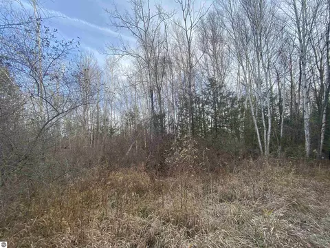 Robarge Street, Elberta, MI 49628 photo 7