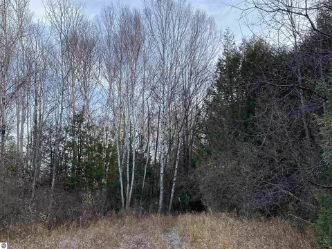Robarge Street, Elberta, MI 49628 photo 8