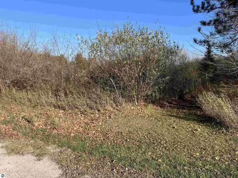 Robarge Street, Elberta, MI 49628 photo 5
