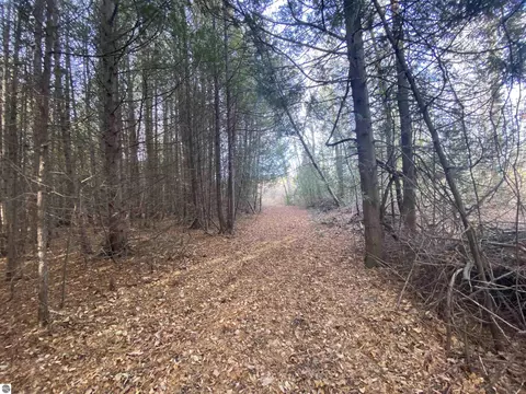 Robarge Street, Elberta, MI 49628