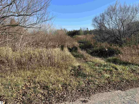 Robarge Street, Elberta, MI 49628 photo 4