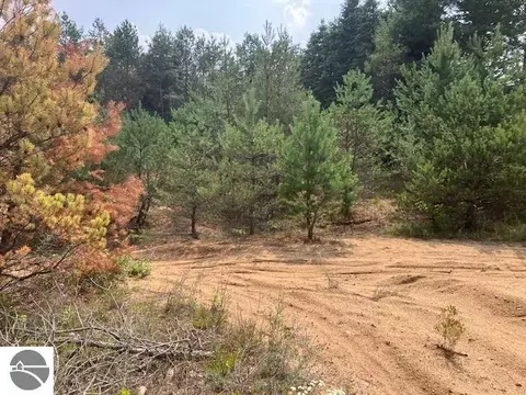 ***** N 17 Road, Buckley, MI 49620