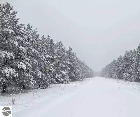 Parcel F-2 N 2 1/2 Road, Buckley, MI 49620