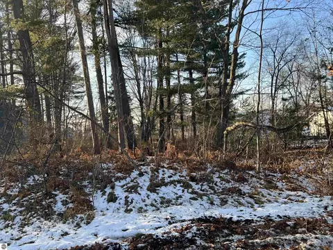 Vl S Lakeshore Drive, Lake City, MI 49651