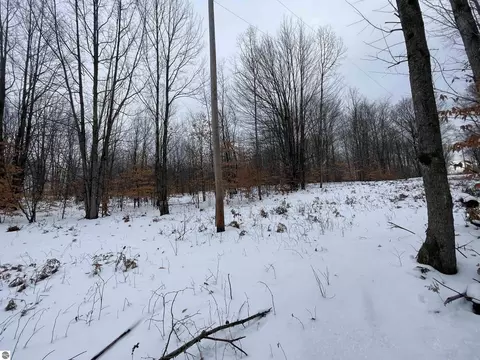 N Turnerville, Lake City, MI 49651