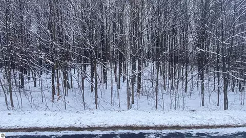 Lot 178 Clearview Drive, Bellaire, MI 49615