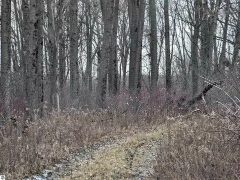 N/a Swenson Road, Au Gres, MI 48703 photo 2