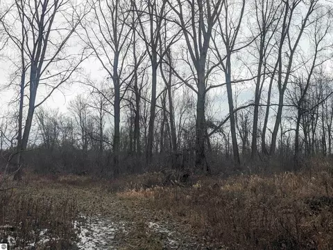 N/a Swenson Road, Au Gres, MI 48703 photo 5
