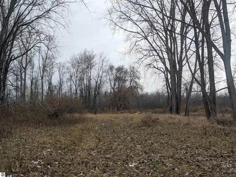 N/a Swenson Road, Au Gres, MI 48703 photo 6