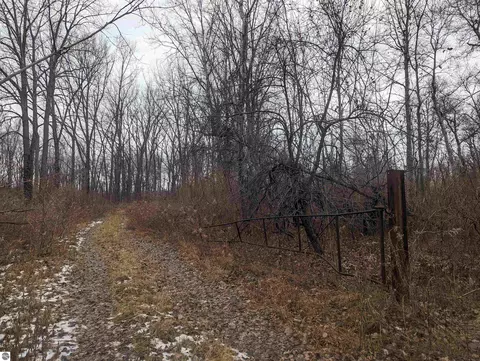 N/a Swenson Road, Au Gres, MI 48703 photo 4