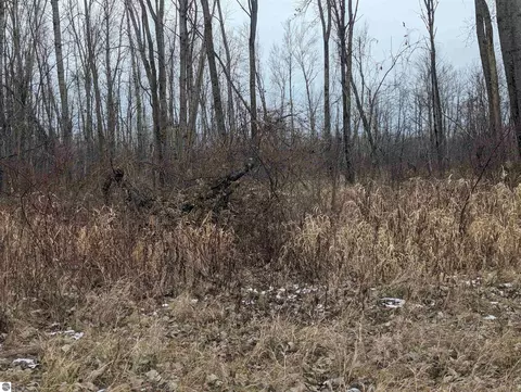 N/a Swenson Road, Au Gres, MI 48703 photo 9