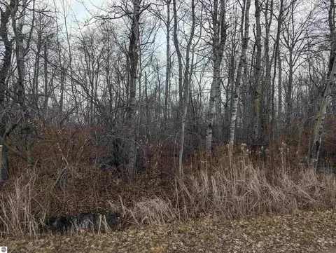 N/a Swenson Road, Au Gres, MI 48703 photo 3