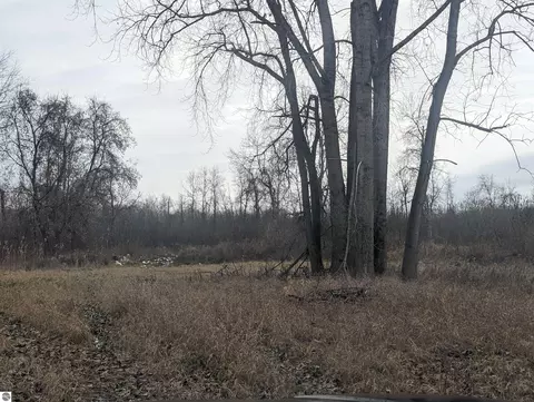 N/a Swenson Road, Au Gres, MI 48703 photo 7