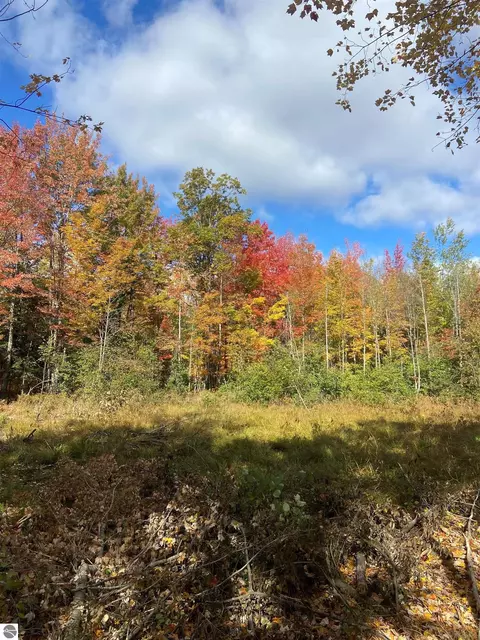 Vl E Sunset Drive, Falmouth, MI 49632