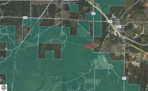 20 Acres Vl Thompsonville Rd, Thompsonville, MI 49683