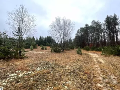 00 Leonard Rd, Mancelona, MI 49659