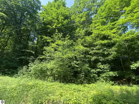 Lot 72 Birch View Trail, Lake Ann, MI 49650