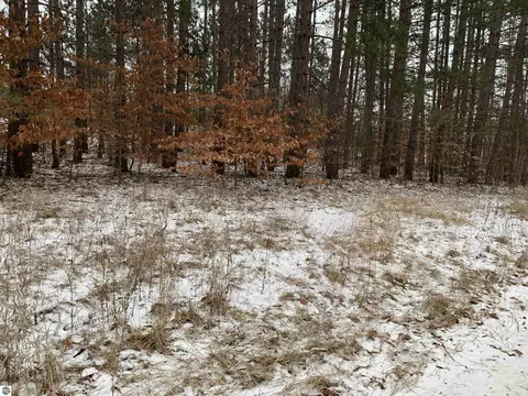 00 S 15 12 Rd, Boon, MI 49618