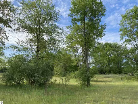25 Deer Track Trl, Thompsonville, MI 49683