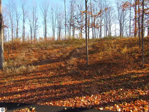 4169 Maple Hill Rd, Grawn, MI 49637 photo 7