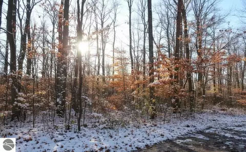 4169 Maple Hill Rd, Grawn, MI 49637 photo 20