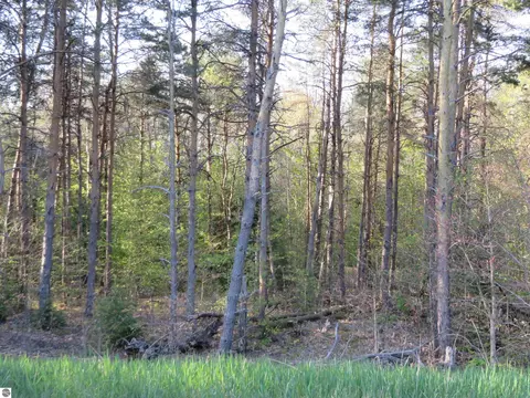 4169 Maple Hill Rd, Grawn, MI 49637 photo 6