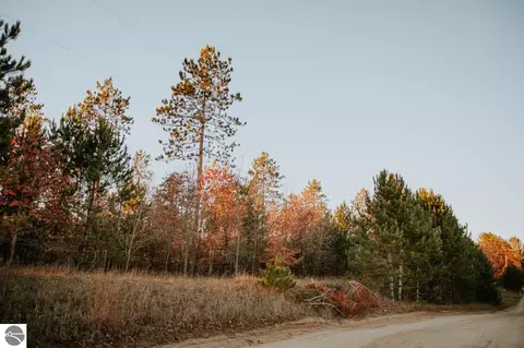 Roop Road, Kingsley, MI 49649