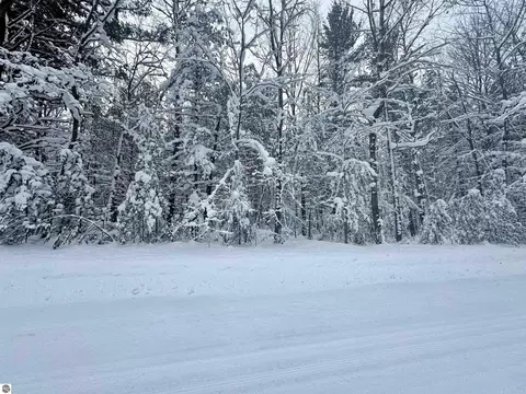0 Douglas Rd, Interlochen, MI 49643