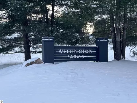 Ridge Crest Road, Williamsburg, MI 49690