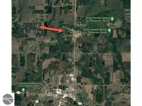 Tbd Riverview Road, Mesick, MI 49668 photo 4