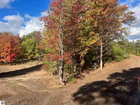 Parcel F Trumbull Road, Maple City, MI 49664