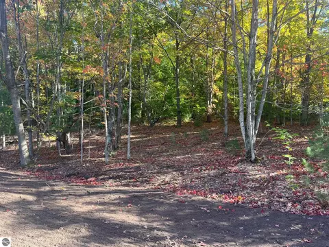 Parcel G Trumbull Road, Maple City, MI 49664