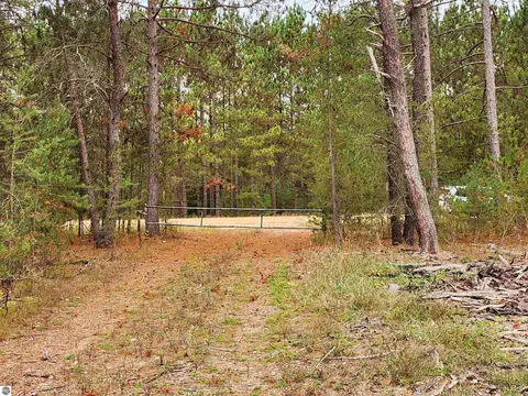 00 Niemi St, Kaleva, MI 49645