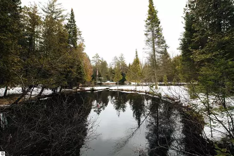 534 Snow Rd, Grayling, MI 49738 photo 66