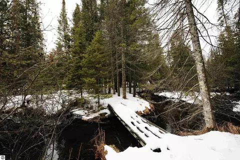 534 Snow Rd, Grayling, MI 49738 photo 67