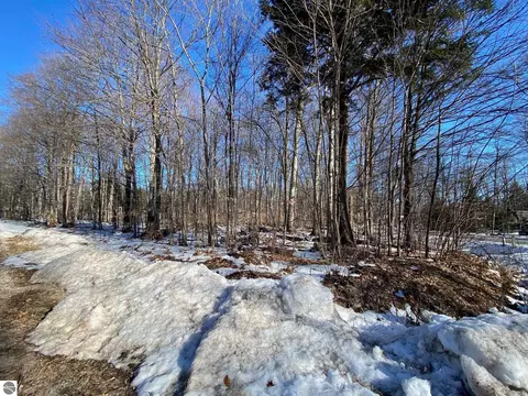 E Sugar Maple Drive, Cedar, MI 49621 photo 4