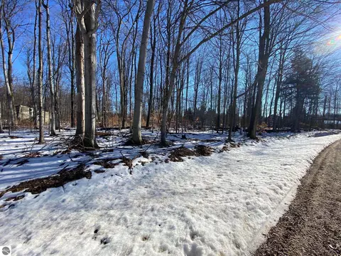 E Sugar Maple Drive, Cedar, MI 49621 photo 2