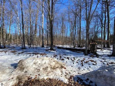 E Sugar Maple Drive, Cedar, MI 49621 photo 3