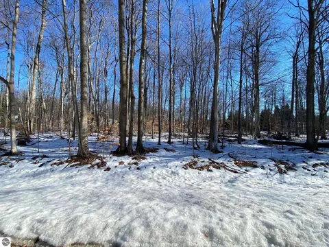 E Sugar Maple Drive, Cedar, MI 49621