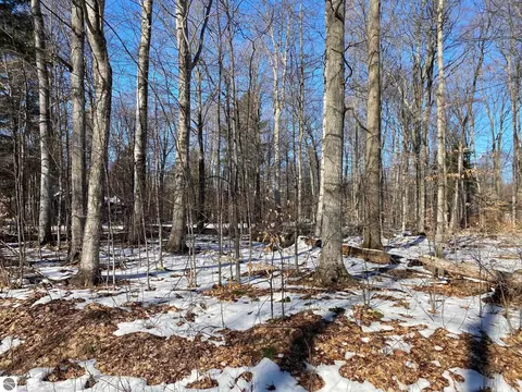E Sugar Maple Drive, Cedar, MI 49621 photo 5